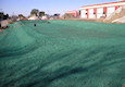 hydroseeding