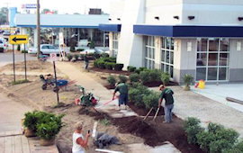 Commercial Landscaping