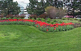 Commercial Landscaping and Mowing