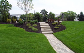 Sod and Paver Walkway