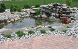Pond