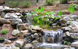 Water Feature