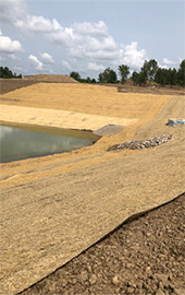 Straw Mulching
