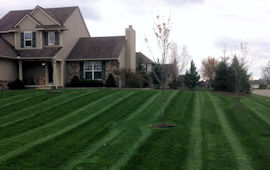 Lawn Care - commercial & residential