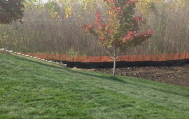 Sod with silt fence and tree protection